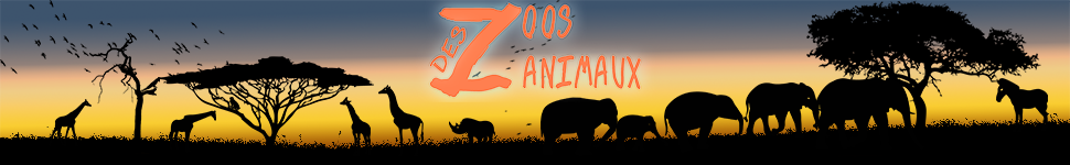 Des Zoos des Zanimaux