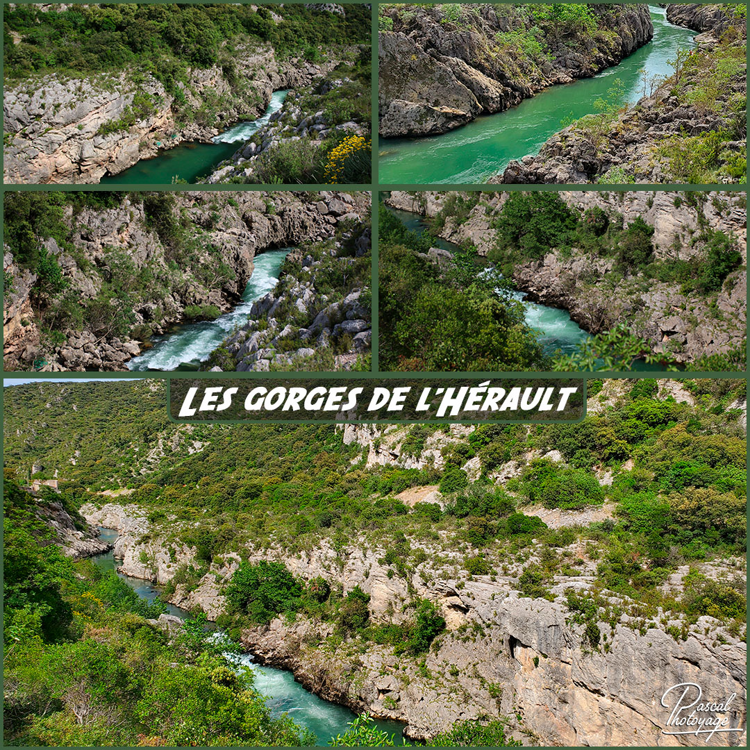 26376383_gorges_de_l_herault_01_-_layout_55_1080x1080.jpg