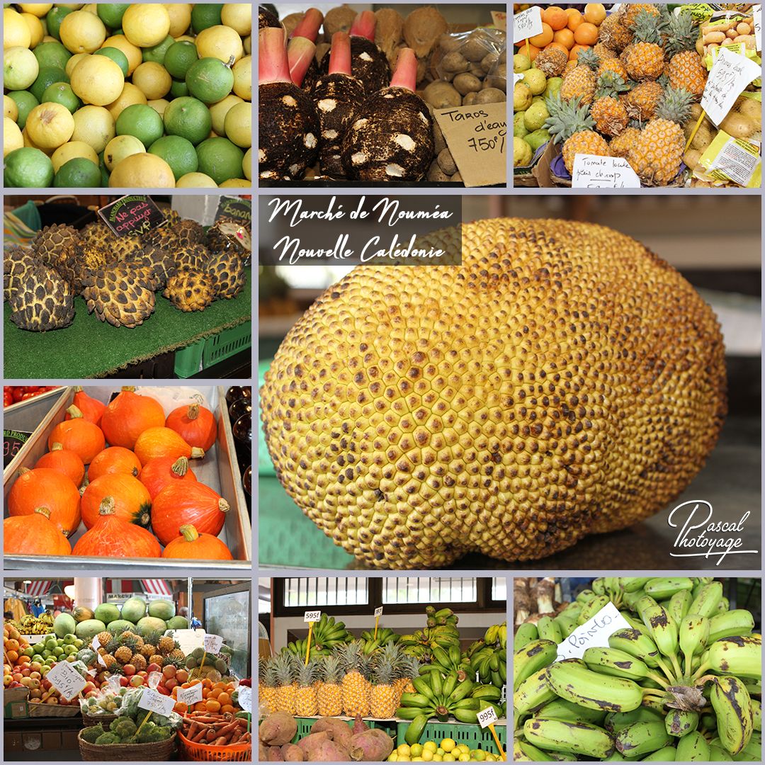 35048847_nouvelle_caledonie_-_marche_de_noumea_01_-_layout_47_1080x1080.jpg