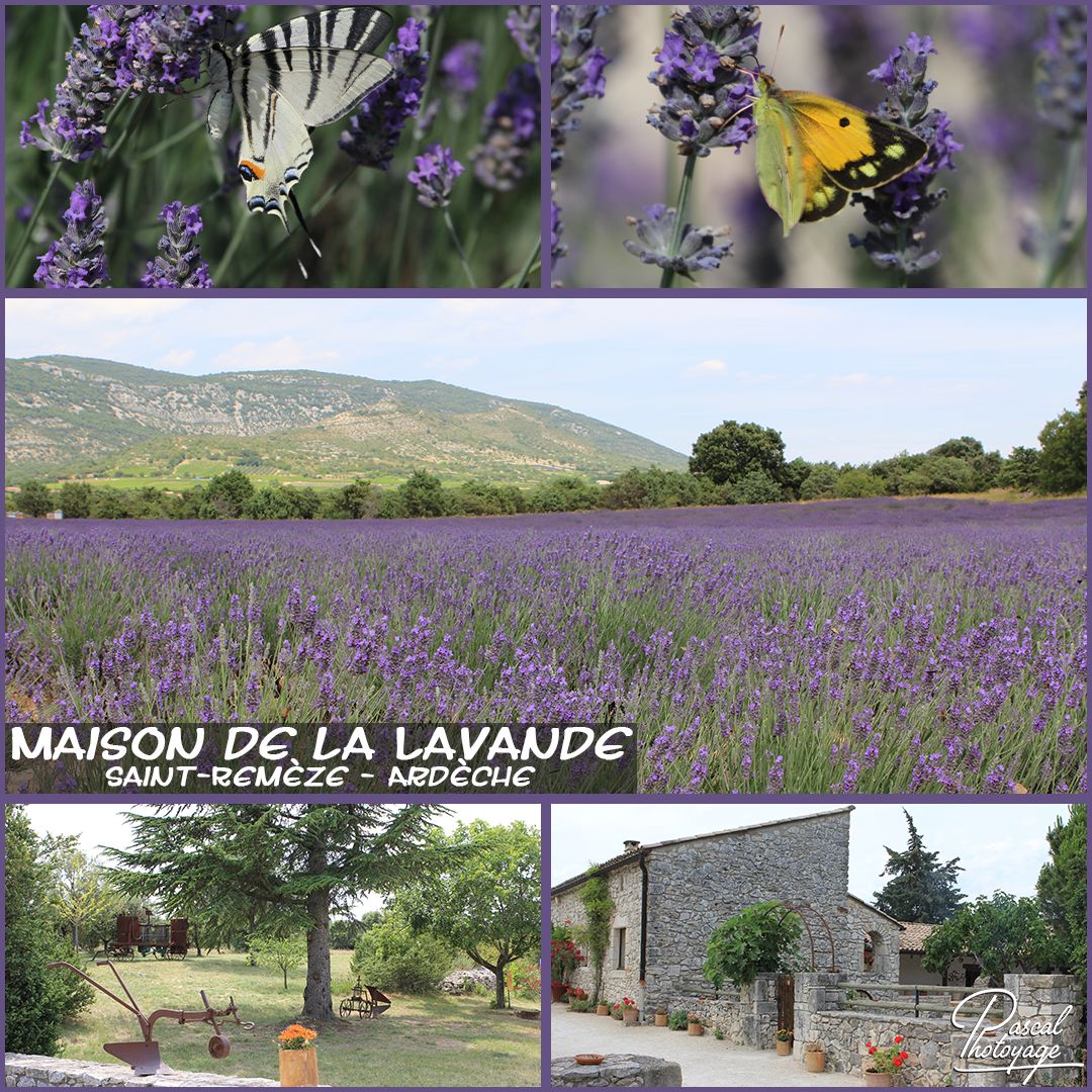 36962512_maison_de_la_lavande_01_-_layout_15_1080x1080.jpg