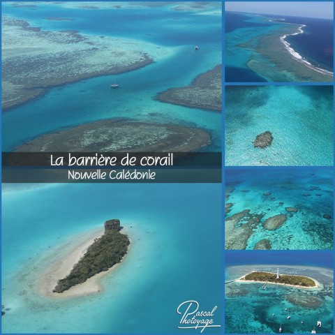 37157092_barriere_de_corail_-_nc_02_-_layout_64.jpg