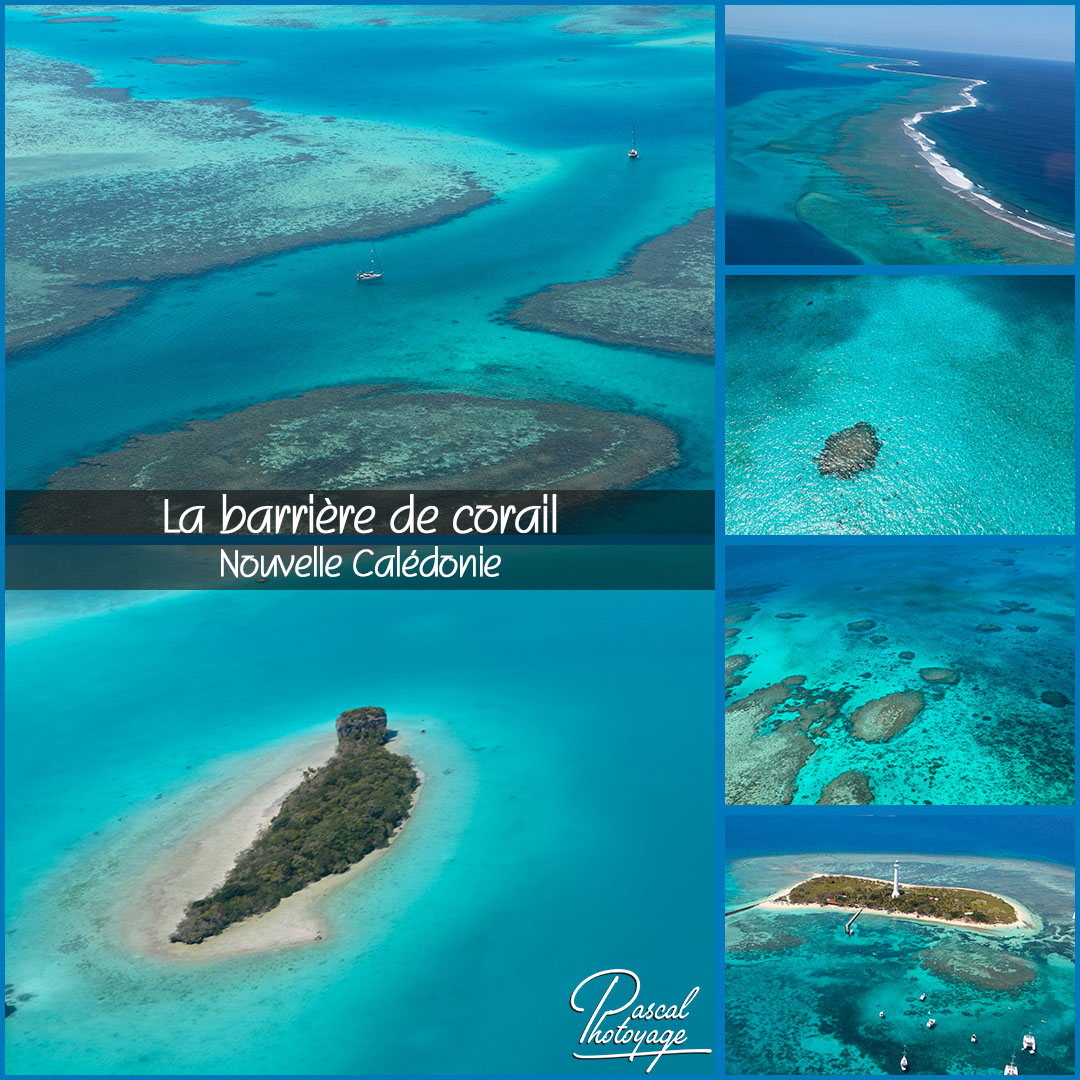 43395130_barriere_de_corail_-_nc_02_-_layout_64_1080x1080.jpg 43395130_barriere_de_corail_-_nc_02_-_layout_64_1080x1080.jpg