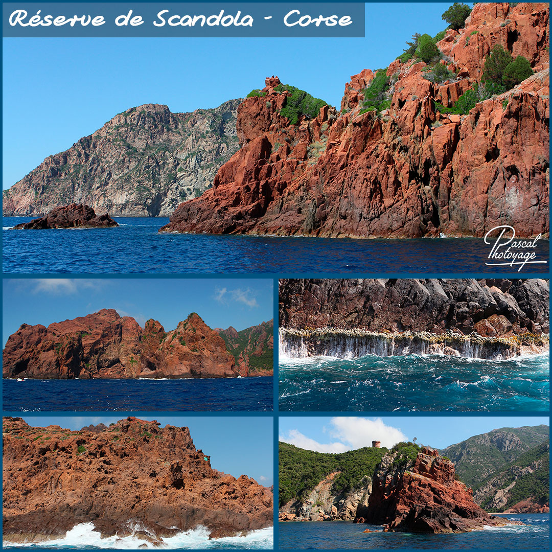 54290510_corse_reserve_de_scandola_-_layout_56_1080x1080.jpg