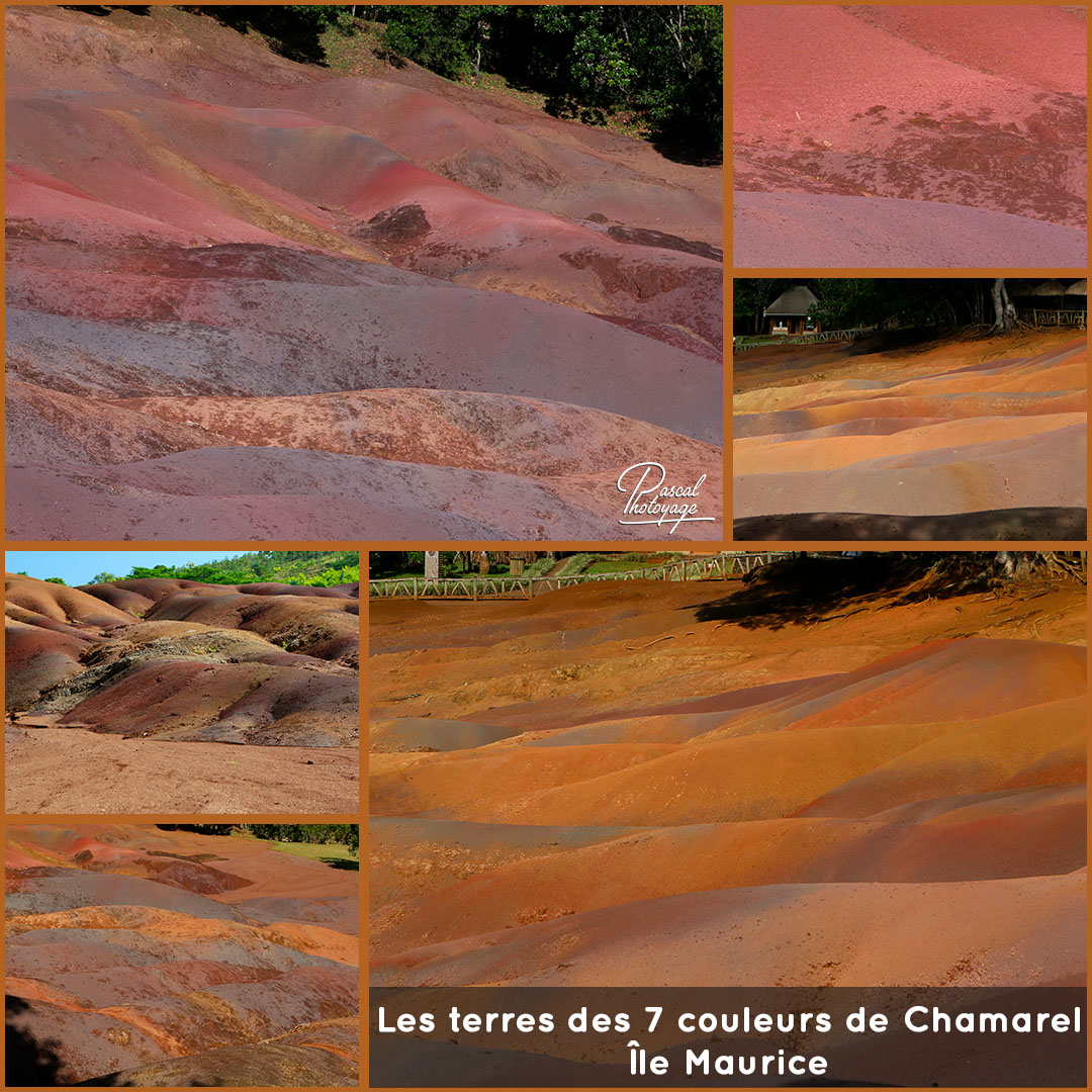 71673467_les_sept_couleurs_01_-_layout_27_1080x1080.jpg