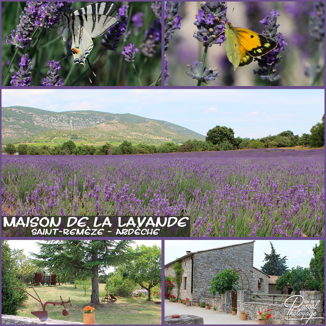 81070143_maison_de_la_lavande_01_-_layout_15_1080x1080.jpg