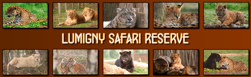 lumigny_safari_reserve_13.jpg