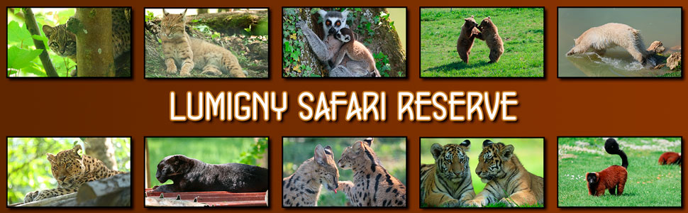 lumigny_safari_reserve_14.jpg
