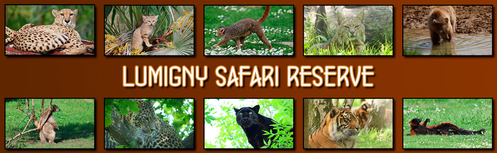 lumigny_safari_reserve_15.jpg