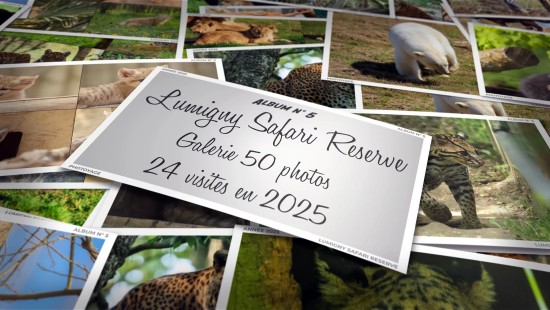 Lumigny Safari Reserve - Année 2025 - Album 05