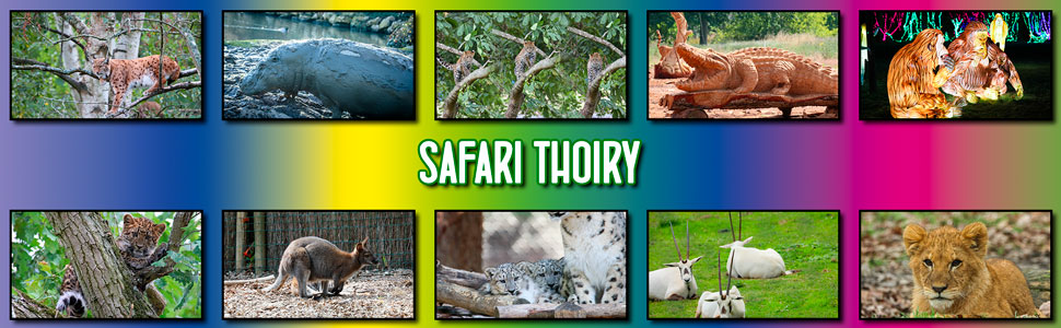 safari_thoiry_02.jpg