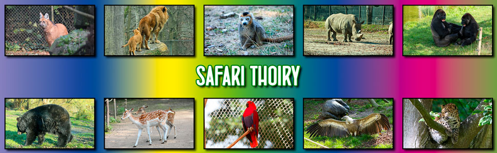 safari_thoiry_03.jpg