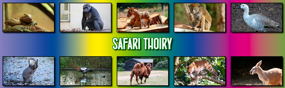 safari_thoiry_04.jpg