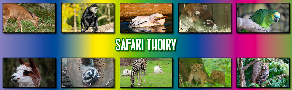 safari_thoiry_05.jpg