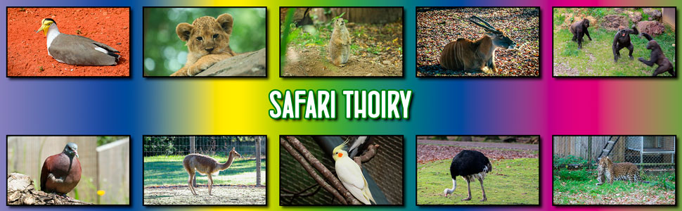 safari_thoiry_06.jpg