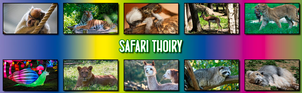 safari_thoiry_07.jpg