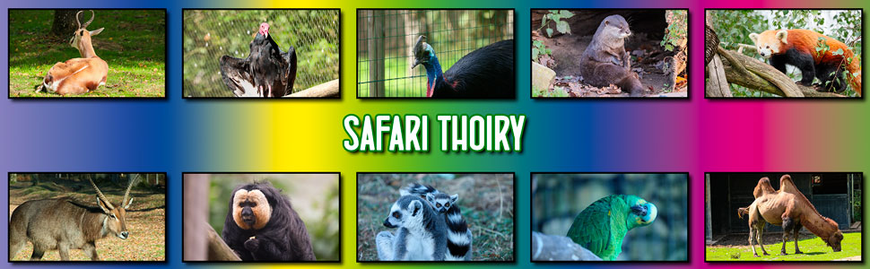 safari_thoiry_09.jpg