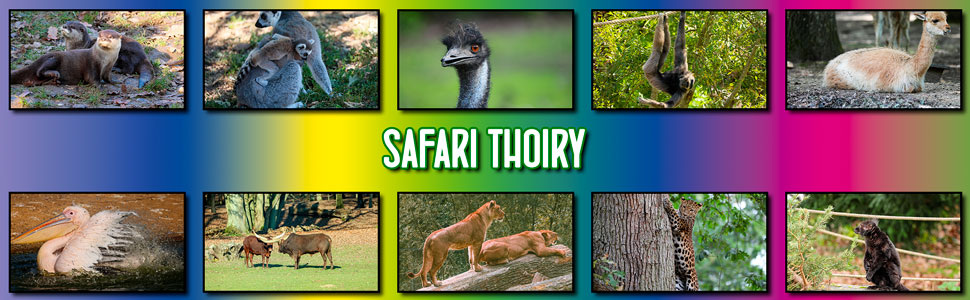 safari_thoiry_10.jpg