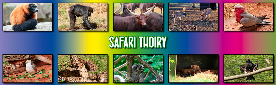 safari_thoiry_12.jpg