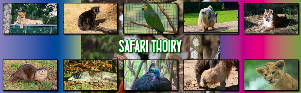 safari_thoiry_13.jpg