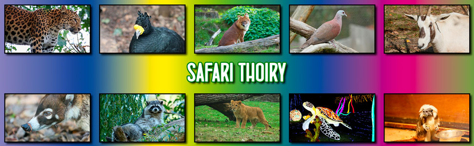 safari_thoiry_14.jpg