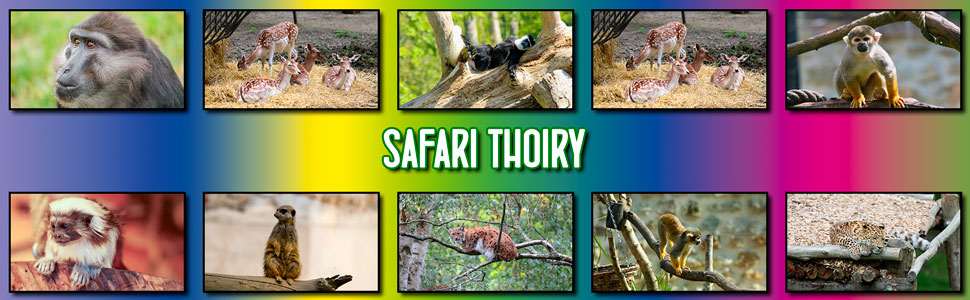 safari_thoiry_16.jpg