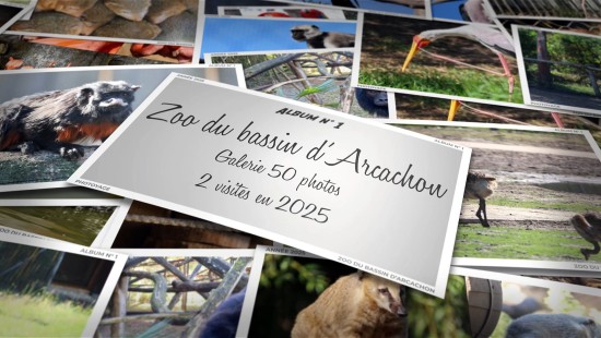 Zoo du bassin d'Arcachon - Année 2025 - Album 01