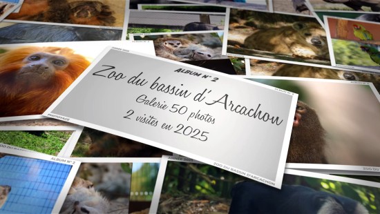 Zoo du bassin d'Arcachon - Année 2025 - Album 02