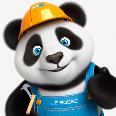 Panda avec casque