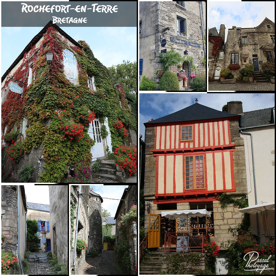 11572878_rochefort-en-terre_01_-_layout_26.jpg