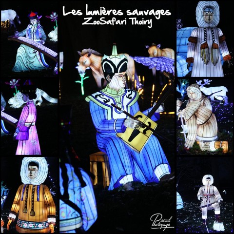 27306434_les_lumieres_sauvages_-_zoosafari_thoiry_-_layout_33.jpg