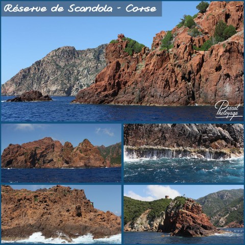 40704068_corse_reserve_de_scandola_-_layout_56.jpg