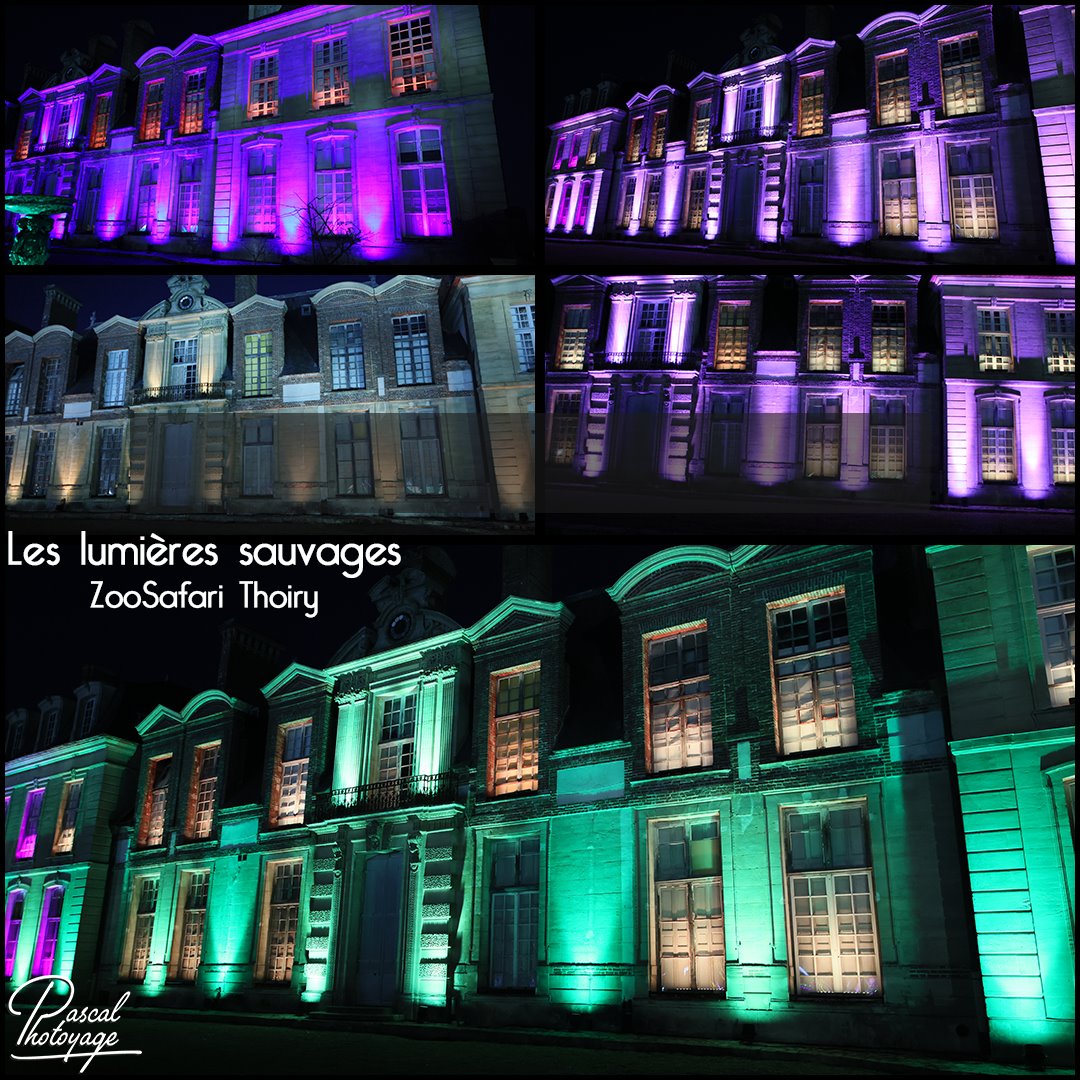 83910480_les_lumieres_sauvages_-_zoosafari_thoiry_-_layout_55_1080x1080.jpg