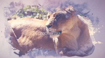 Diaporama de 58 photos de Thoiry ZooSafari