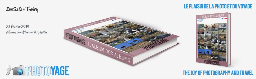 Cliquez sur cette image pour accéder à l'album