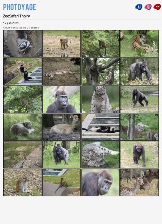 ZooSafari Thoiry - Visite du 12 juin 2021