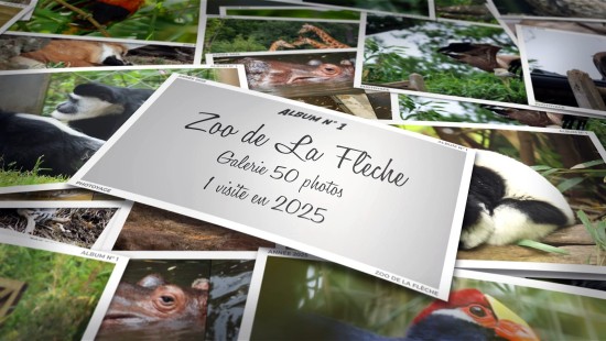 Zoo de La Flèche - Année 2025 - Album 01