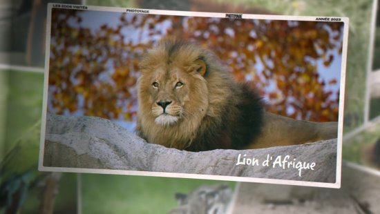 100 photos des 9 zoos visités en 2023