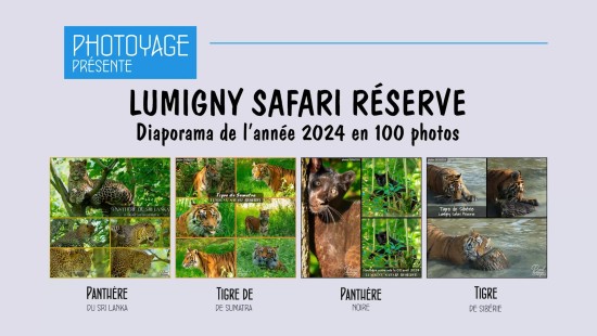 lumigny_safari_reserve_2024.mp4_snapshot_00.14.324.jpg