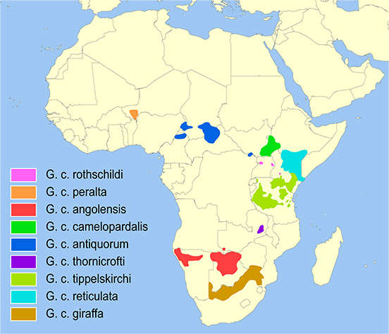 Carte de la répartition géographique