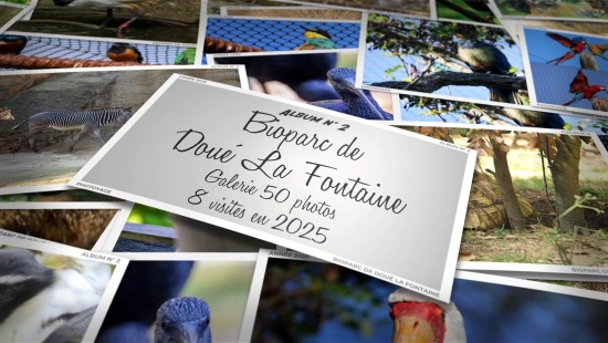 Cliquez sur l'image pour lancer la vidéo