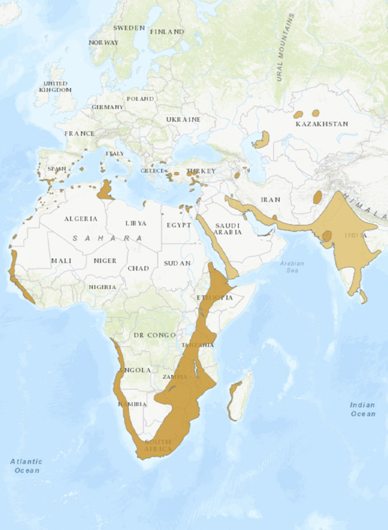 Carte de la répartition géographique